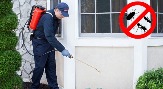 Orta Böcek ve Haşere İlaçlama böcek ilaçlama ve haşere kontrolü — ilaclama-tr.com